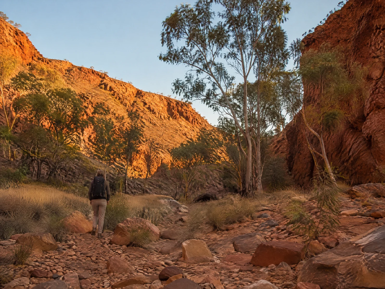 Red ochre gorge in outback South Australia at golden hour with dry creek bed and sparse eucalyptus