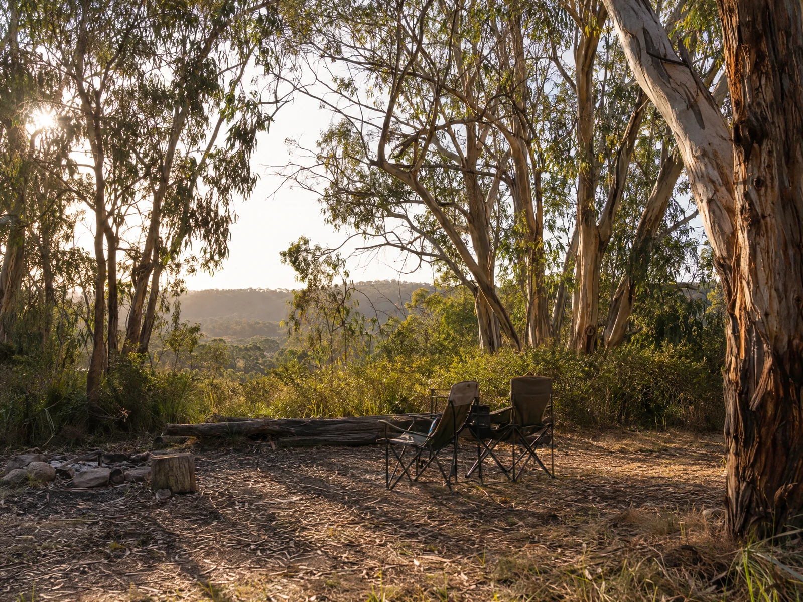 Teardrop camper with awning under eucalyptus trees at a bush campsite in summer